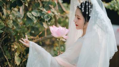 杨振宁：一半物理，一半中国